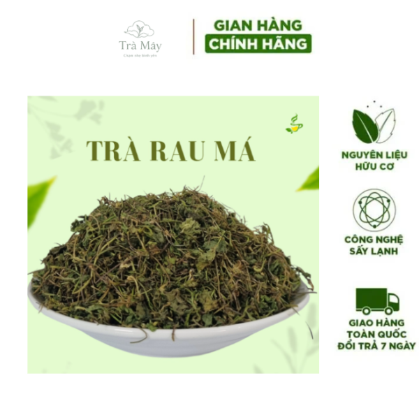 tra thanh nhiet tra may